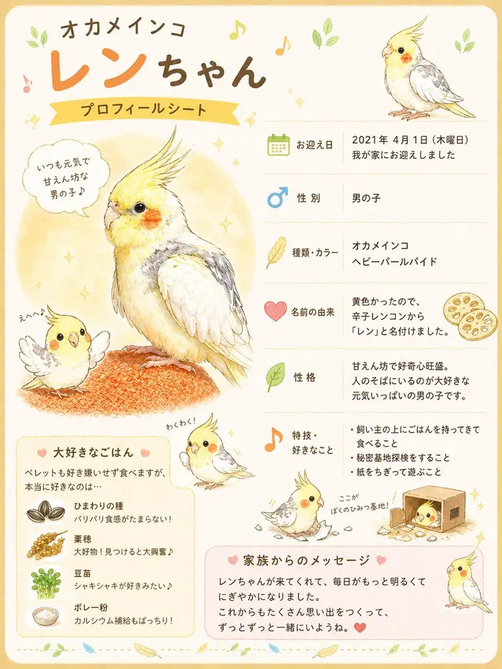 可爱玄凤鹦鹉个人资料页